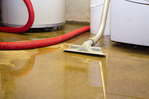 Best Commercial Water Damage Restoration in Clear Lake, WA